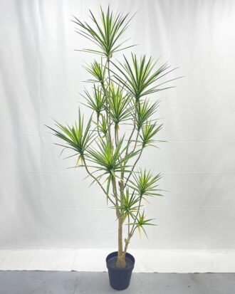Artificial Tree 210cm Dracaena*14 in PP pot GS-41922043 Tree&Plant YeahFlower is one of Chinese leading OEM manufacturers and exporters , supplying the silk flowers, wholesale artificial trees