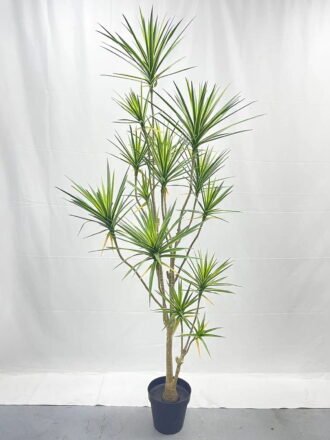 Artificial Tree 130*130*127cm Leaf in PP pot GS-67722004 Tree&Plant 3,000+ sqm showroom with thousands of artificial flowers, plants & trees ready for global sourcing.
