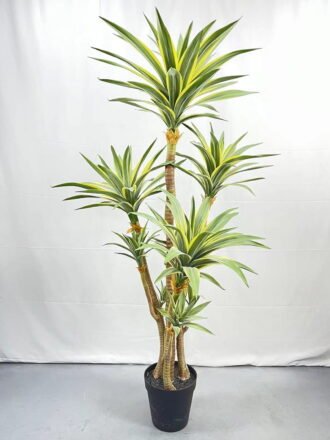 Artificial Tree 90cm Tequila*3 in PP pot GS-41922031 Tree&Plant 3,000+ sqm showroom with thousands of artificial flowers, plants & trees ready for global sourcing.