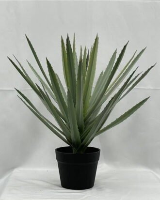 Artificial Tree 40cm Aloe in PP pot GS-41922074 Tree&Plant YeahFlower is one of Chinese leading OEM manufacturers and exporters , supplying the silk flowers, wholesale artificial trees Artificial Tree 40cm Aloe in PP pot GS-41922074 Tree&Plant YeahFlower is one of Chinese leading OEM manufacturers and exporters , supplying the silk flowers, wholesale artificial trees