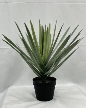 Artificial Tree 50cm Aloe in PP pot GS-41922073 Tree&Plant YeahFlower is one of Chinese leading OEM manufacturers and exporters , supplying the silk flowers, wholesale artificial trees Artificial Tree 50cm Aloe in PP pot GS-41922073 Tree&Plant YeahFlower is one of Chinese leading OEM manufacturers and exporters , supplying the silk flowers, wholesale artificial trees