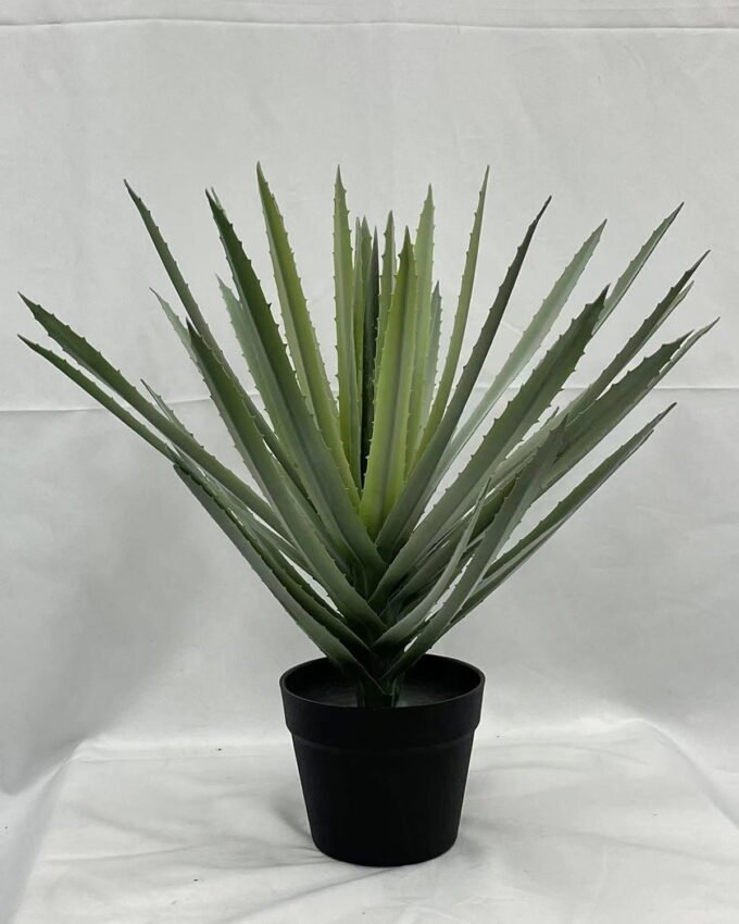 Artificial Tree 50cm Aloe in PP pot GS-41922073 Tree&Plant YeahFlower is one of Chinese leading OEM manufacturers and exporters , supplying the silk flowers, wholesale artificial trees