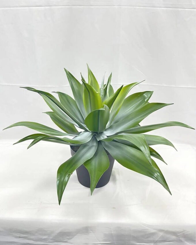 Artificial Tree 50cm Tequila in PP pot GS-41922013 Tree&Plant YeahFlower is one of Chinese leading OEM manufacturers and exporters , supplying the silk flowers, wholesale artificial trees