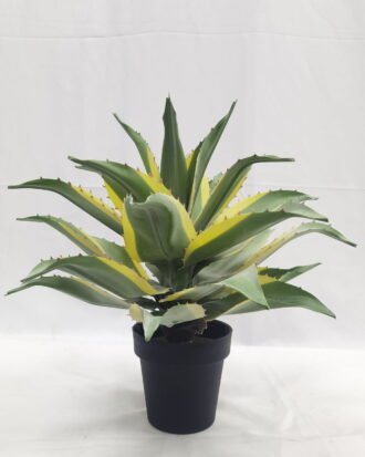 Artificial Tree 50cm Tequila in PP pot GS-41922022 Tree&Plant YeahFlower is one of Chinese leading OEM manufacturers and exporters , supplying the silk flowers, wholesale artificial trees Artificial Tree 50cm Tequila in PP pot GS-41922022 Tree&Plant YeahFlower is one of Chinese leading OEM manufacturers and exporters , supplying the silk flowers, wholesale artificial trees