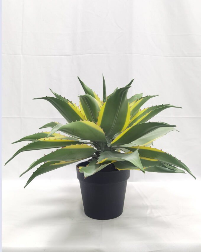 Artificial Tree 50cm Tequila in PP pot GS-41922023 Tree&Plant YeahFlower is one of Chinese leading OEM manufacturers and exporters , supplying the silk flowers, wholesale artificial trees