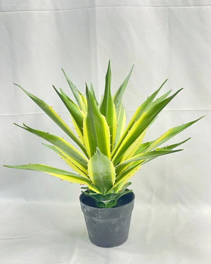 Artificial Tree 50cm Tequila in PP pot GS-41922060 Tree&Plant YeahFlower is one of Chinese leading OEM manufacturers and exporters , supplying the silk flowers, wholesale artificial trees