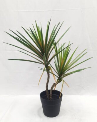 Artificial Tree 55cm Dracaena*2 in PP pot GS-41922049 Tree&Plant YeahFlower is one of Chinese leading OEM manufacturers and exporters , supplying the silk flowers, wholesale artificial trees
