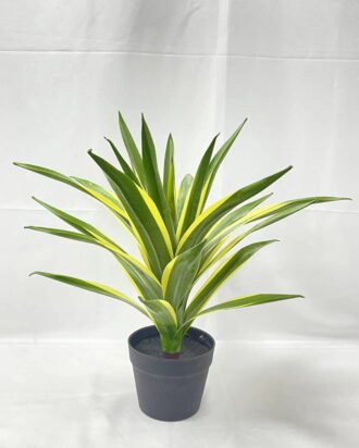 Artificial Tree 55cm Tequila in PP pot GS-41922037 Tree&Plant YeahFlower is one of Chinese leading OEM manufacturers and exporters , supplying the silk flowers, wholesale artificial trees