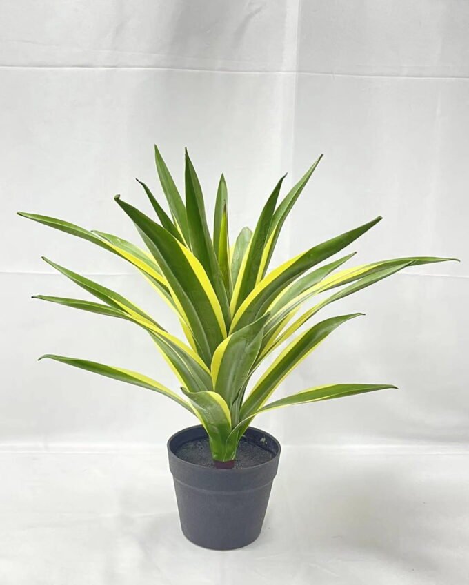 Artificial Tree 55cm Tequila in PP pot GS-41922037 Tree&Plant YeahFlower is one of Chinese leading OEM manufacturers and exporters , supplying the silk flowers, wholesale artificial trees