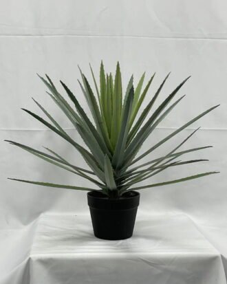 Artificial Tree 57cm Aloe in PP pot GS-41922072 Tree&Plant YeahFlower is one of Chinese leading OEM manufacturers and exporters , supplying the silk flowers, wholesale artificial trees Artificial Tree 57cm Aloe in PP pot GS-41922072 Tree&Plant YeahFlower is one of Chinese leading OEM manufacturers and exporters , supplying the silk flowers, wholesale artificial trees