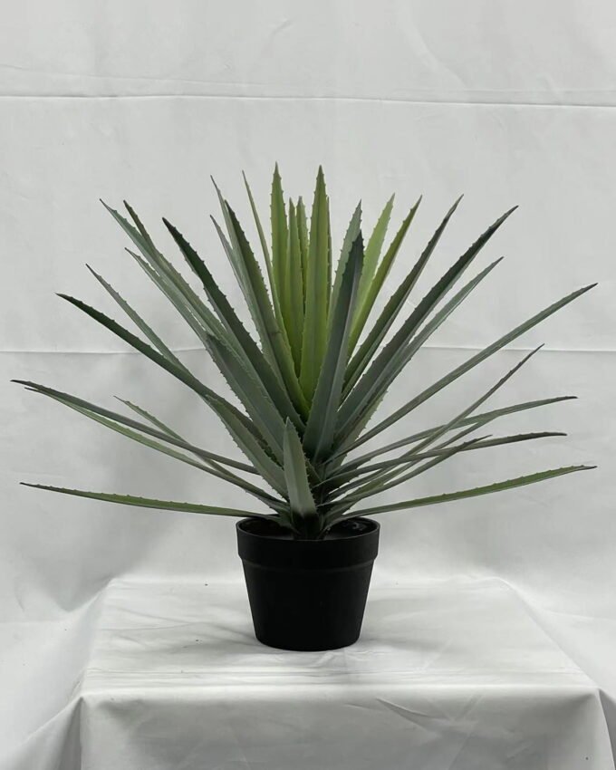Artificial Tree 57cm Aloe in PP pot GS-41922072 Tree&Plant YeahFlower is one of Chinese leading OEM manufacturers and exporters , supplying the silk flowers, wholesale artificial trees