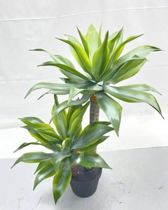 Artificial Tree 65cm Tequila*2 in PP pot GS-41922015 Tree&Plant YeahFlower is one of Chinese leading OEM manufacturers and exporters , supplying the silk flowers, wholesale artificial trees Artificial Tree 65cm Tequila*2 in PP pot GS-41922015 Tree&Plant YeahFlower is one of Chinese leading OEM manufacturers and exporters , supplying the silk flowers, wholesale artificial trees