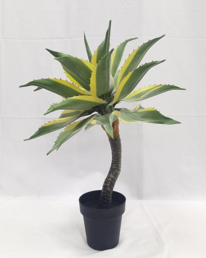 Artificial Tree 65cm Tequila in PP pot GS-41922024 Tree&Plant YeahFlower is one of Chinese leading OEM manufacturers and exporters , supplying the silk flowers, wholesale artificial trees