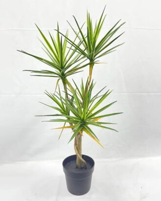 Artificial Tree 78cm Dracaena*5 in PP pot GS-41922039 Tree&Plant YeahFlower is one of Chinese leading OEM manufacturers and exporters , supplying the silk flowers, wholesale artificial trees