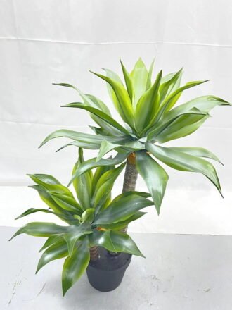 Artificial Tree 85cm Tequila in PP pot GS-41922016 Tree&Plant 3,000+ sqm showroom with thousands of artificial flowers, plants & trees ready for global sourcing.