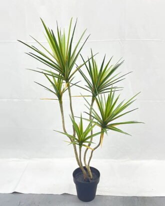 Artificial Tree 90cm Dracaena*5 in PP pot GS-41922044 Tree&Plant YeahFlower is one of Chinese leading OEM manufacturers and exporters , supplying the silk flowers, wholesale artificial trees
