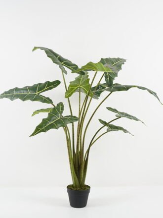 Artificial Tree 160cm Tequila*5 in PP pot GS-41922033 Tree&Plant 3,000+ sqm showroom with thousands of artificial flowers, plants & trees ready for global sourcing.