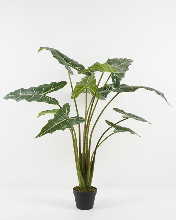Artificial Tree Leaf in PP pot GS-67722004_3 Artificial Tree 130*130*127cm Leaf in PP pot GS-67722004 Tree&Plant YeahFlower is one of Chinese leading OEM manufacturers and exporters , supplying the silk flowers, wholesale artificial trees