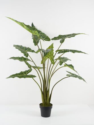 Artificial Tree 90cm Dracaena*5 in PP pot GS-41922044 Tree&Plant 3,000+ sqm showroom with thousands of artificial flowers, plants & trees ready for global sourcing.
