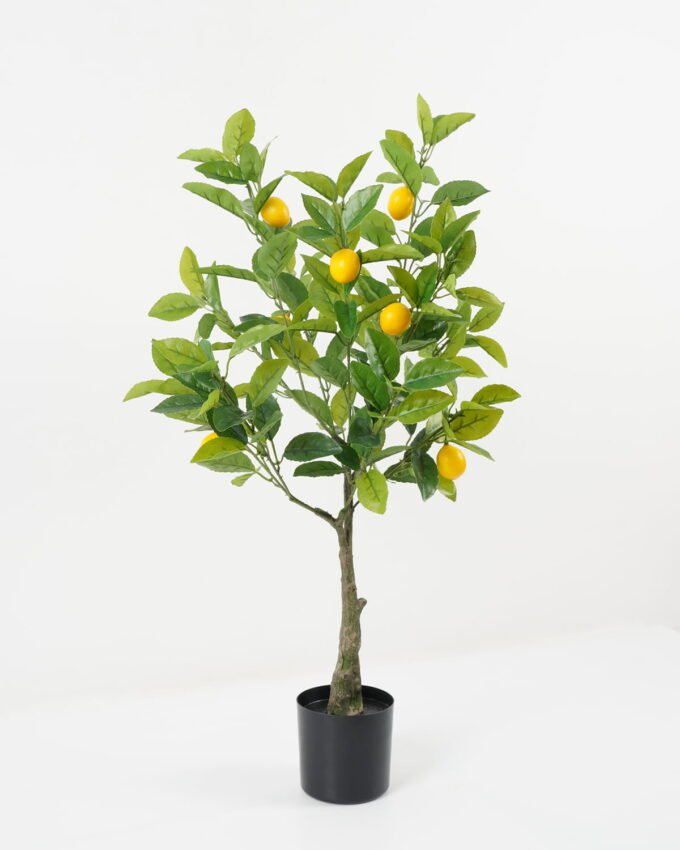Artificial Tree 56*56*85cm Lemon tree GS-59522051 Tree&Plant YeahFlower is one of Chinese leading OEM manufacturers and exporters , supplying the silk flowers, wholesale artificial trees