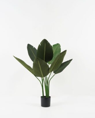 Artificial Tree 60*60*90cm Strelitziaceae in PP pot GS-67822001 Tree&Plant YeahFlower is one of Chinese leading OEM manufacturers and exporters , supplying the silk flowers, wholesale artificial trees Artificial Tree 60*60*90cm Strelitziaceae in PP pot GS-67822001 Tree&Plant YeahFlower is one of Chinese leading OEM manufacturers and exporters , supplying the silk flowers, wholesale artificial trees