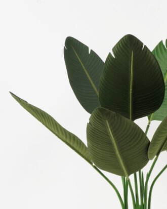 Artificial Tree 60*60*90cm Strelitziaceae in PP pot GS-67822001 Tree&Plant YeahFlower is one of Chinese leading OEM manufacturers and exporters , supplying the silk flowers, wholesale artificial trees Artificial Tree 60*60*90cm Strelitziaceae in PP pot GS-67822001 Tree&Plant YeahFlower is one of Chinese leading OEM manufacturers and exporters , supplying the silk flowers, wholesale artificial trees