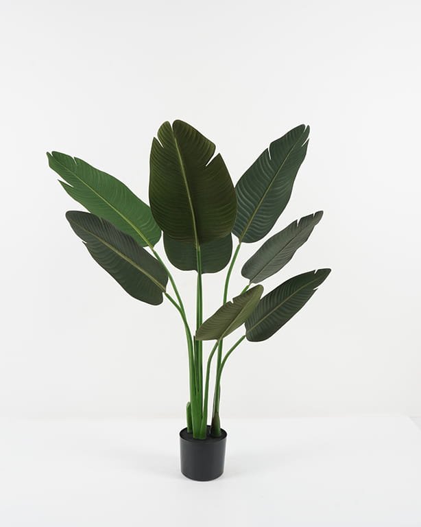Artificial Tree Strelitziaceae in PP pot GS-67822002_5 Artificial Tree 80*80*120cm Strelitziaceae in PP pot GS-67822002 Tree&Plant YeahFlower is one of Chinese leading OEM manufacturers and exporters , supplying the silk flowers, wholesale artificial trees