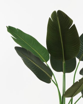 Artificial Tree 80*80*120cm Strelitziaceae in PP pot GS-67822002 Tree&Plant YeahFlower is one of Chinese leading OEM manufacturers and exporters , supplying the silk flowers, wholesale artificial trees Artificial Tree 80*80*120cm Strelitziaceae in PP pot GS-67822002 Tree&Plant YeahFlower is one of Chinese leading OEM manufacturers and exporters , supplying the silk flowers, wholesale artificial trees