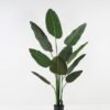 Artificial Tree Strelitziaceae in PP pot GS-67822003_3 Artificial Tree 45*45*165cm Strelitziaceae in PP pot GS-67822003 Tree&Plant YeahFlower is one of Chinese leading OEM manufacturers and exporters , supplying the silk flowers, wholesale artificial trees