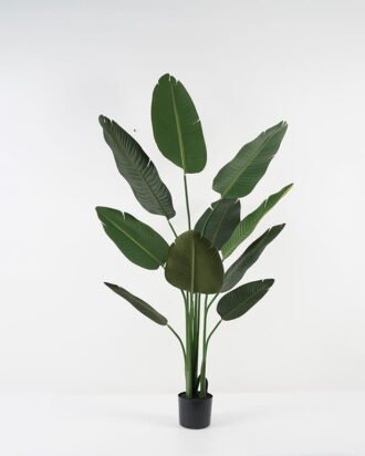 Artificial Tree 45*45*165cm Strelitziaceae in PP pot GS-67822003 Tree&Plant YeahFlower is one of Chinese leading OEM manufacturers and exporters , supplying the silk flowers, wholesale artificial trees