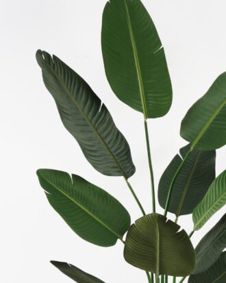 Artificial Tree 45*45*165cm Strelitziaceae in PP pot GS-67822003 Tree&Plant YeahFlower is one of Chinese leading OEM manufacturers and exporters , supplying the silk flowers, wholesale artificial trees