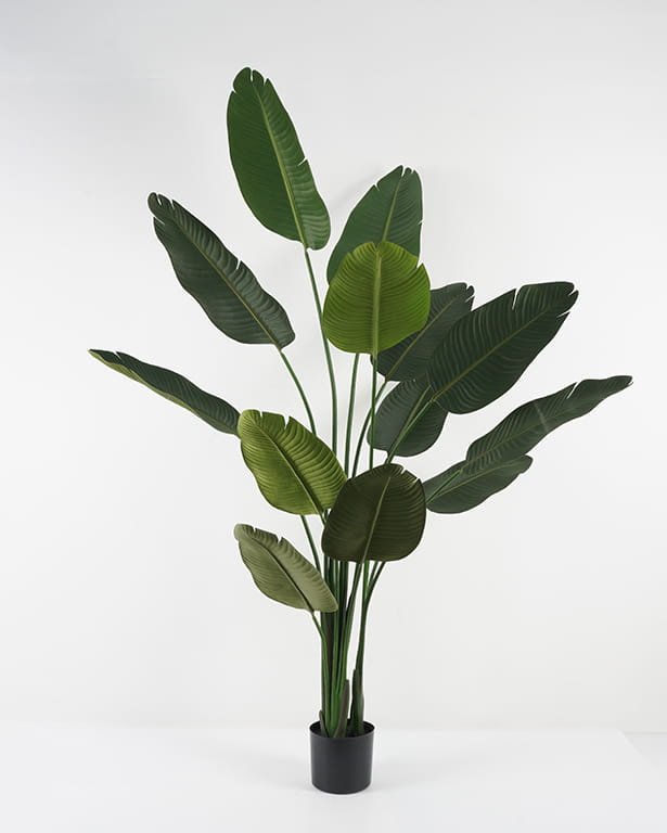 Artificial Tree Strelitziaceae in PP pot GS-67822004_3 Artificial Tree 65*65*190cm Strelitziaceae in PP pot GS-67822004 Tree&Plant YeahFlower is one of Chinese leading OEM manufacturers and exporters , supplying the silk flowers, wholesale artificial trees