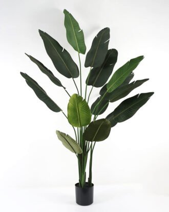 Artificial Tree 85*85*220cm Strelitziaceae in PP pot GS-67822005 Tree&Plant YeahFlower is one of Chinese leading OEM manufacturers and exporters , supplying the silk flowers, wholesale artificial trees Artificial Tree 85*85*220cm Strelitziaceae in PP pot GS-67822005 Tree&Plant YeahFlower is one of Chinese leading OEM manufacturers and exporters , supplying the silk flowers, wholesale artificial trees