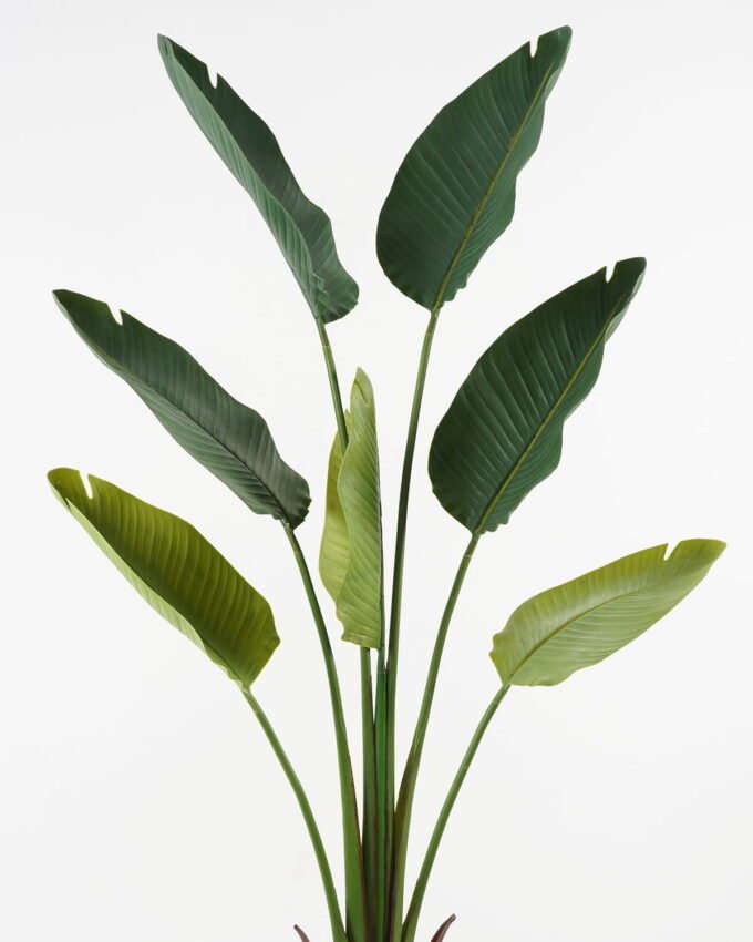 Artificial Tree 85*85*152cm Strelitziaceae in pp pot GS-59522052 Tree&Plant YeahFlower is one of Chinese leading OEM manufacturers and exporters , supplying the silk flowers, wholesale artificial trees