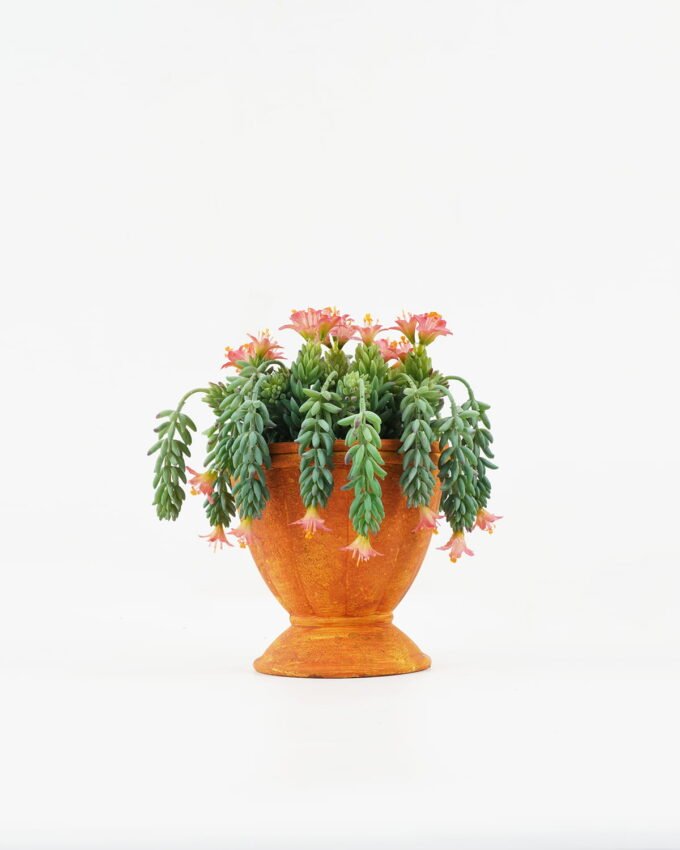 Artificial succulent Succulent in PaPer PulP pot GS-51722087 Artificial succulent 17*17*22cm Succulent in PaPer PulP pot GS-51722087 Potted Flowers&Plants YeahFlower is one of Chinese leading OEM manufacturers and exporters , supplying the silk flowers, wholesale artificial trees