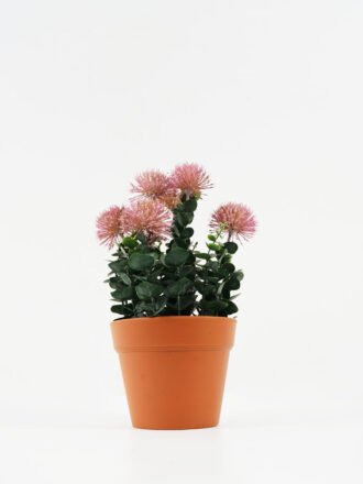 Artificial succulent 17*17*22cm  Succulent in PaPer PulP pot GS-51722087 Potted Flowers&Plants 3,000+ sqm showroom with thousands of artificial flowers, plants & trees ready for global sourcing.