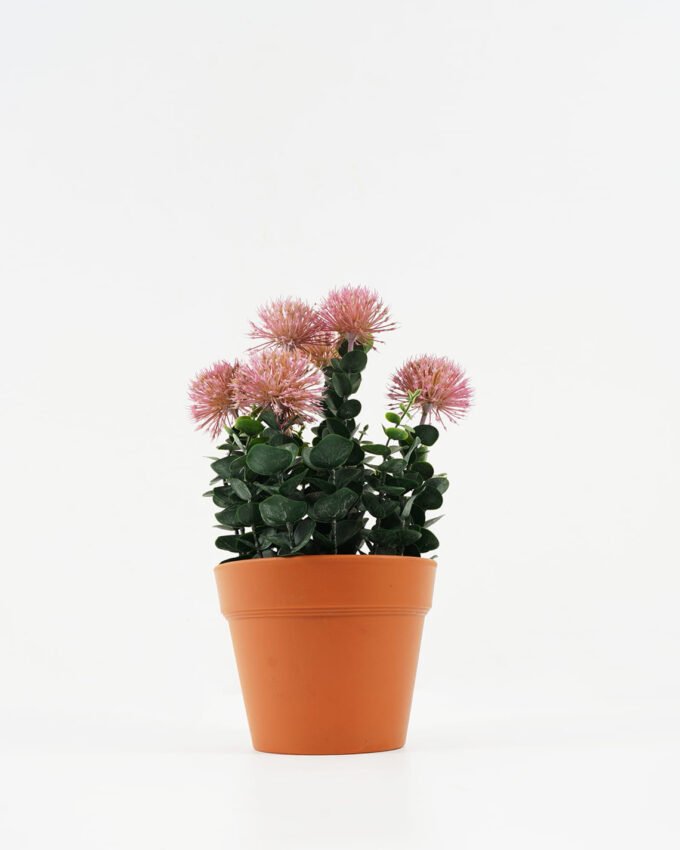 Artificial succulent 22*22*34cm Succulent in pp pot GS-51722088 Potted Flowers&Plants YeahFlower is one of Chinese leading OEM manufacturers and exporters , supplying the silk flowers, wholesale artificial trees