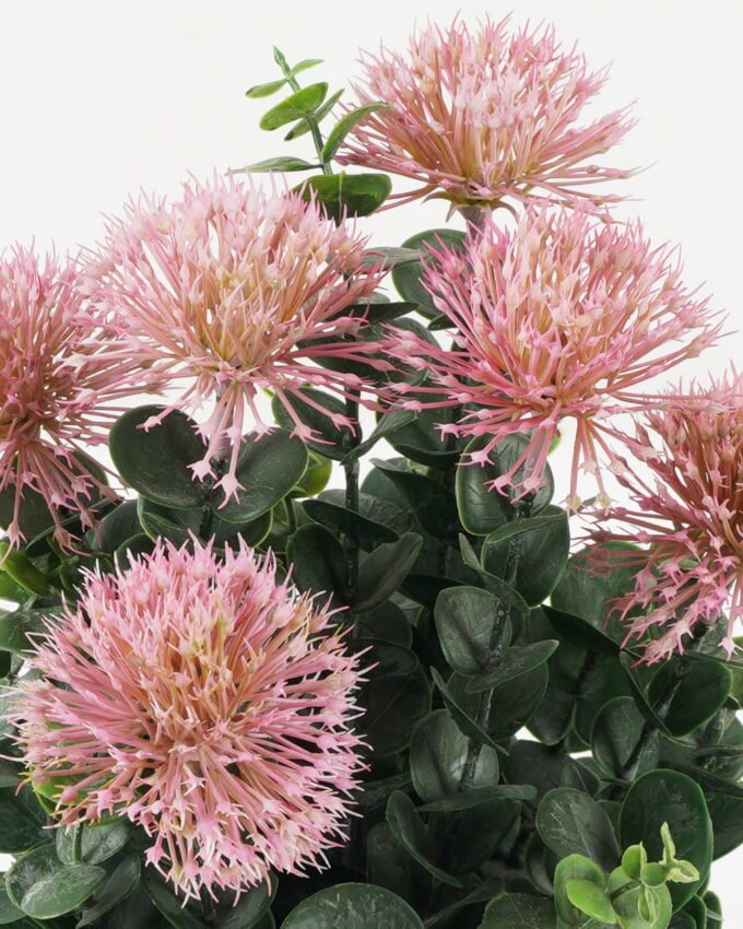 Artificial succulent 22*22*34cm Succulent in pp pot GS-51722088 Potted Flowers&Plants YeahFlower is one of Chinese leading OEM manufacturers and exporters , supplying the silk flowers, wholesale artificial trees