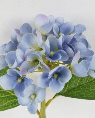 Artificial Flower 21*33 Single Hydrange GS-14519042-B4 Single Flowers YeahFlower is one of Chinese leading OEM manufacturers and exporters , supplying the silk flowers, wholesale artificial trees Artificial Flower 21*33 Single Hydrange GS-14519042-B4 Single Flowers YeahFlower is one of Chinese leading OEM manufacturers and exporters , supplying the silk flowers, wholesale artificial trees