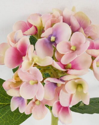 Artificial Flower 21*33 Single Hydrange GS-14519042-P4 Single Flowers YeahFlower is one of Chinese leading OEM manufacturers and exporters , supplying the silk flowers, wholesale artificial trees Artificial Flower 21*33 Single Hydrange GS-14519042-P4 Single Flowers YeahFlower is one of Chinese leading OEM manufacturers and exporters , supplying the silk flowers, wholesale artificial trees
