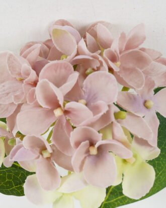 Artificial Flower 21*33 Single Hydrange GS-14519042-P5 Single Flowers YeahFlower is one of Chinese leading OEM manufacturers and exporters , supplying the silk flowers, wholesale artificial trees Artificial Flower 21*33 Single Hydrange GS-14519042-P5 Single Flowers YeahFlower is one of Chinese leading OEM manufacturers and exporters , supplying the silk flowers, wholesale artificial trees