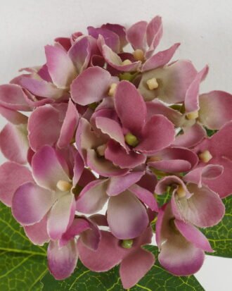 Artificial Flower 21*33 Single Hydrange GS-14519042-R2 Single Flowers YeahFlower is one of Chinese leading OEM manufacturers and exporters , supplying the silk flowers, wholesale artificial trees Artificial Flower 21*33 Single Hydrange GS-14519042-R2 Single Flowers YeahFlower is one of Chinese leading OEM manufacturers and exporters , supplying the silk flowers, wholesale artificial trees