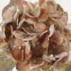 Artificial Flower Autumn hydrangea single stem GS-15422049-K2_4 Artificial Flower 23*23*48cm Autumn hydrangea single stem GS-15422049-K2 Single Flowers YeahFlower is one of Chinese leading OEM manufacturers and exporters , supplying the silk flowers, wholesale artificial trees