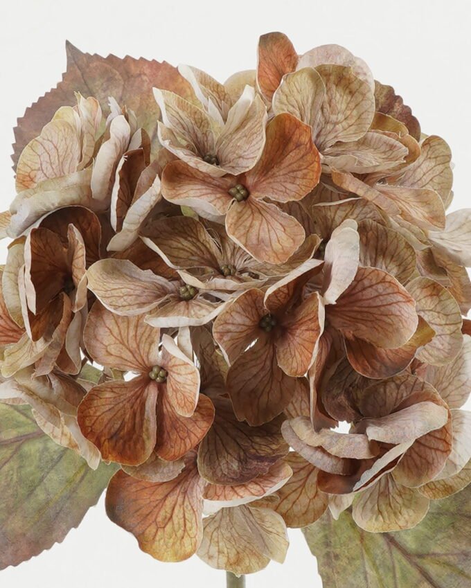 Artificial Flower Autumn hydrangea single stem GS-15422049-K2_4 Artificial Flower 23*23*48cm Autumn hydrangea single stem GS-15422049-K2 Single Flowers YeahFlower is one of Chinese leading OEM manufacturers and exporters , supplying the silk flowers, wholesale artificial trees