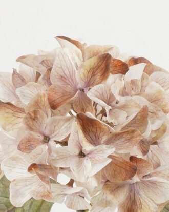 Artificial Flower 26*26*50cm Autumn hydrangea single stem GS-15422050-P1 Single Flowers YeahFlower is one of Chinese leading OEM manufacturers and exporters , supplying the silk flowers, wholesale artificial trees