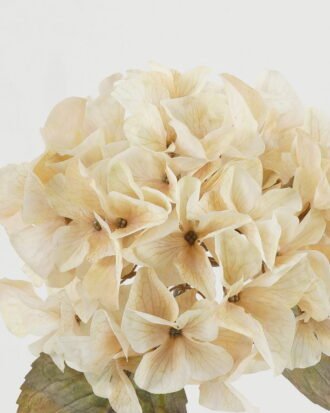 Artificial Flower 26*26*50cm Autumn hydrangea single stem GS-15422050-W1 Single Flowers YeahFlower is one of Chinese leading OEM manufacturers and exporters , supplying the silk flowers, wholesale artificial trees