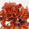 Artificial Flower 26*26*50cm Autumn hydrangea single stem GS-15422050 Single Flowers YeahFlower is one of Chinese leading OEM manufacturers and exporters , supplying the silk flowers, wholesale artificial trees