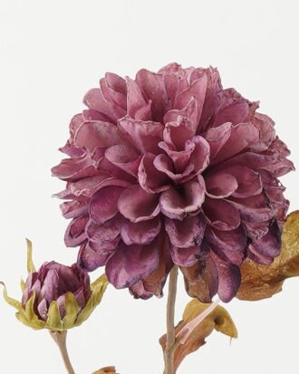 Artificial Flower 13*13*70cm Chrysanthemum *2 single stem GS-14522005-Z1 Single Flowers YeahFlower is one of Chinese leading OEM manufacturers and exporters , supplying the silk flowers, wholesale artificial trees