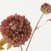 Artificial Flower Chrysanthemum 2 single stem GS-14522021-R1_4 Artificial Flower 20*20*59cm Chrysanthemum *2 single stem GS-14522021-R1 Single Flowers YeahFlower is one of Chinese leading OEM manufacturers and exporters , supplying the silk flowers, wholesale artificial trees