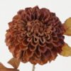 Artificial Flower Chrysanthemum single stem GS-14522008-K1_4 Artificial Flower 18*18*73cm Chrysanthemum single stem GS-14522008-K1 Single Flowers YeahFlower is one of Chinese leading OEM manufacturers and exporters , supplying the silk flowers, wholesale artificial trees